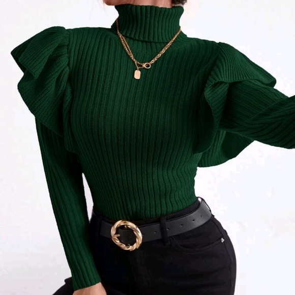 Turtle Neck Ruffle Trim Sweater - Picture 1 of 5